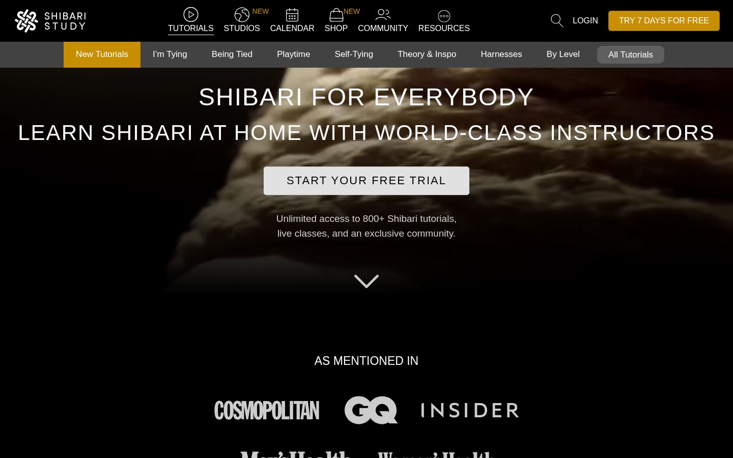 Shibari Study · HOMEPAGE_SCREENSHOT