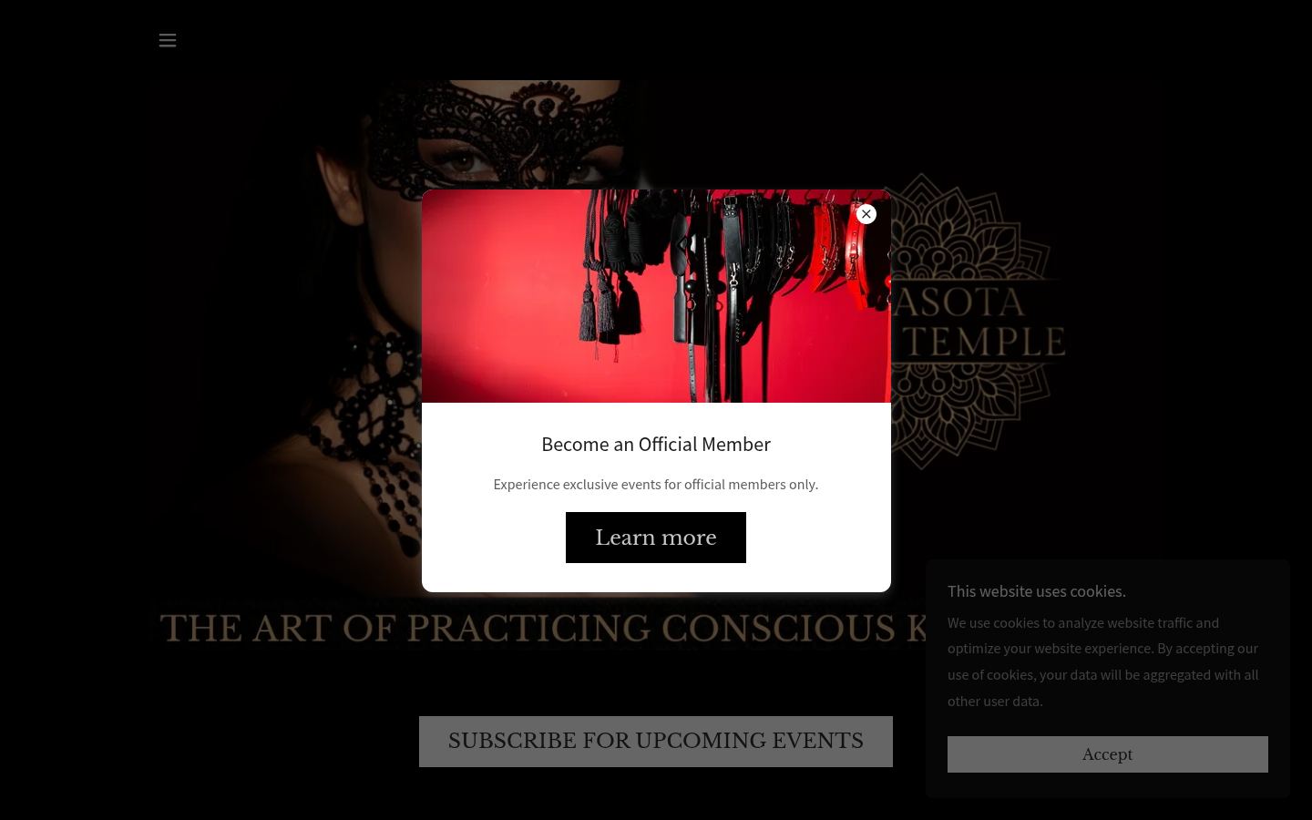 SARASOTA DARK TEMPLE &middot; HOMEPAGE_SCREENSHOT